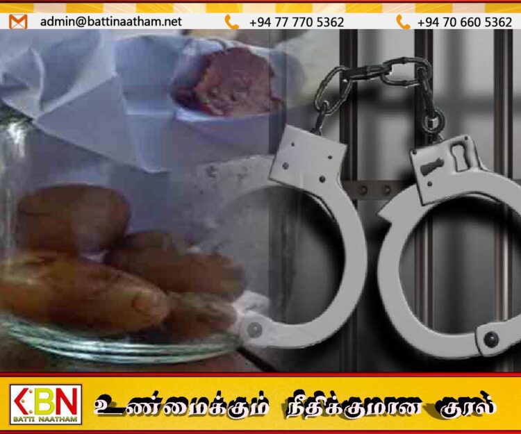 வாழைச்சேனையில் கஜமுத்துக்கள் என சந்தேகிக்கப்படும் பொருளுடன் இருவர் கைது