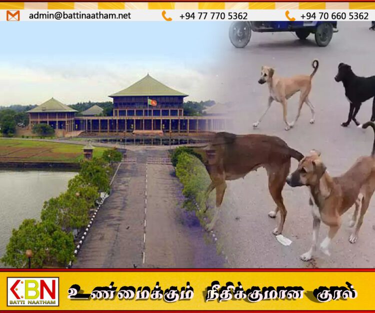 நாடாளுமன்ற வளாகத்தில் சுற்றித் திரியும் நாய்கள்; சபாநாயகரின் அறிவுறுத்தல்