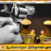 குளியாப்பிட்டிய பொலிஸ் பிரிவில் இடம்பெற்ற துப்பாக்கிச் சூடு; ஒருவர் காயமடைந்து வைத்தியசாலையில்