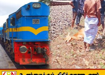 யாழில் மாட்டை மோதித்தள்ளிய புகையிரதம்!