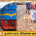 யாழில் மாட்டை மோதித்தள்ளிய புகையிரதம்!