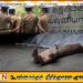 வவுனியா தேவகுளம் வயல்வெளியில் இளைஞர் ஒருவரின் சடலம் மீட்பு