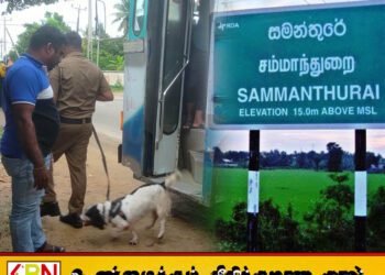 சம்மாந்துறையில் சட்டவிரோத செயற்பாடுகள் அதிகரிப்பு
