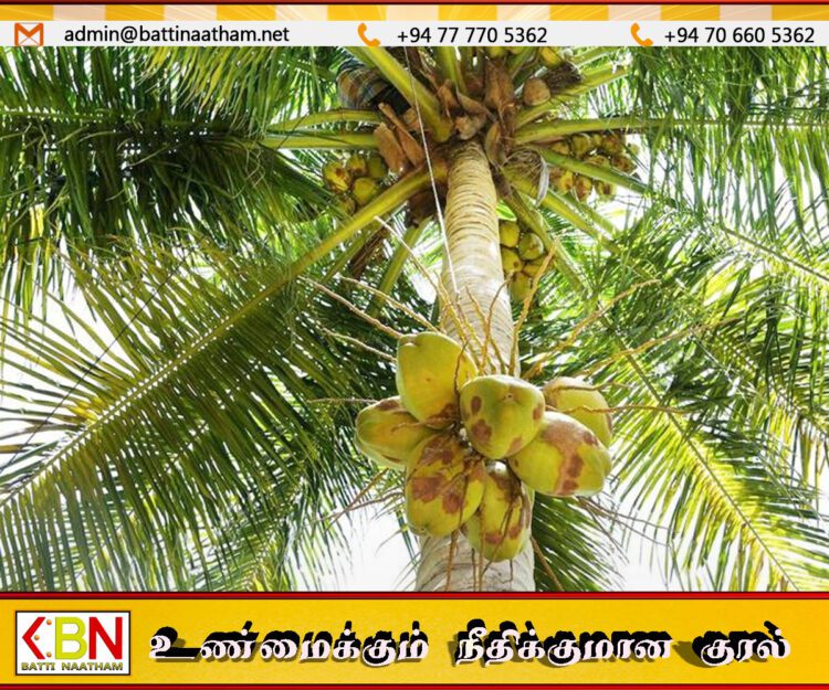 பிரச்சினைகளை கவனத்தில் கொண்டு தென்னை விவசாயிகளுக்கு நிவாரணம்