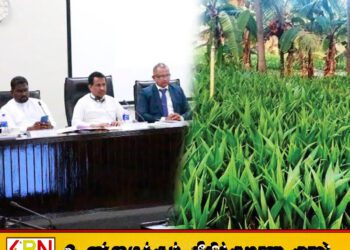 ஐந்து ஏக்கருக்கு குறைவான தென்னந்தோட்ட உரிமையாளர்களுக்கு உர மானியம்