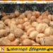 தேங்காய் தட்டுப்பாடு காரணமாக சுமார் 450,000 பேர் வேலை இழப்பு