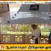 அகிம்சை ரீதியில் உண்ணாவிரதமிருந்து உயிர்நீத்த அன்னை பூபதியின் நினைவேந்தல்