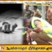 அனுராதபுரத்தில் வீட்டு தோட்டத்தில் எரிந்த நிலையில் பெண் ஒருவரின் சடலம் மீட்பு