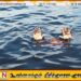கிண்ணியாவில் நண்பர்களுடன் குளிக்க சென்ற சிறுவன் நீரில் மூழ்கி உயிரிழப்பு