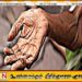 யாசகம் பெறுபவர்களை அப்புறப்படுத்துவதற்கு நடவடிக்கை
