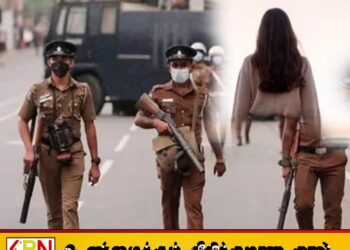 கொழும்பில் போலி அடையாள அட்டைகளுடன் சிக்கிய பெண்; விசாரணையில் வெளியான தகவல்
