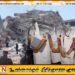 மியன்மாருக்கு செல்ல தயாராகி வரும் இலங்கை வைத்தியர் குழு