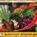 மரக்கறிகளின் விலையில் ஏற்பட்டுள்ள திடீர் அதிகரிப்பு!