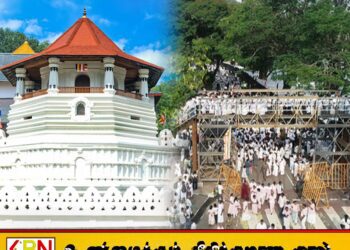 முக்கிய பிரபுக்கள் வரிசையில் புனித தந்த தாதுவை பார்வையிட்ட 56000 பேர்