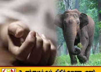 கொக்கட்டிச்சோலையில் பிள்ளைகளுடன் வீட்டில் உறங்கிக் கொண்டிருந்த தாய்க்கு நேர்ந்த கதி