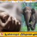 கொக்கட்டிச்சோலையில் பிள்ளைகளுடன் வீட்டில் உறங்கிக் கொண்டிருந்த தாய்க்கு நேர்ந்த கதி