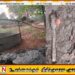 யாழ்ப்பாணம் கீரிமலை பகுதியில் வெடி குண்டுகள் மீட்பு!