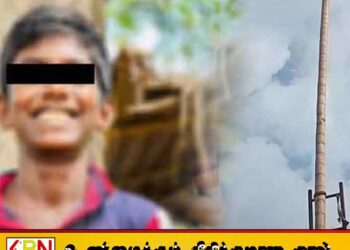புத்தாண்டு விழாவிற்கு கிரீஸ் மரத்தை தயார் செய்த மாணவன் உயிரிழப்பு