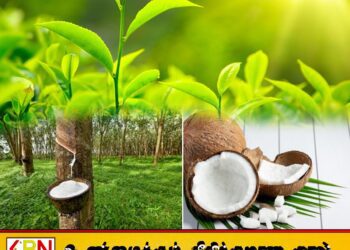 மத்திய வங்கி வெளியிட்டுள்ள தகவல்