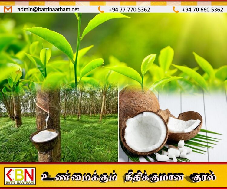 மத்திய வங்கி வெளியிட்டுள்ள தகவல்