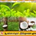 மத்திய வங்கி வெளியிட்டுள்ள தகவல்