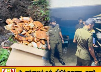 முல்லைத்தீவில் மூடப்பட்ட மனித நுகர்விற்கு ஒவ்வாத வெதுப்பகம்; அழிக்கப்பட்ட உணவுப் பொருட்கள்