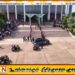 தரம் 05 தனியார் கல்வி ஆசிரியரின் பொலிஸ் பாதுகாப்பு குறித்து விசாரணை
