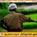 விவசாயிகள் முன்வைத்துள்ள குற்றச்சாட்டுக்கள்