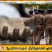 இளம் பெண் ஒருவர் வெட்டிக் கொலை