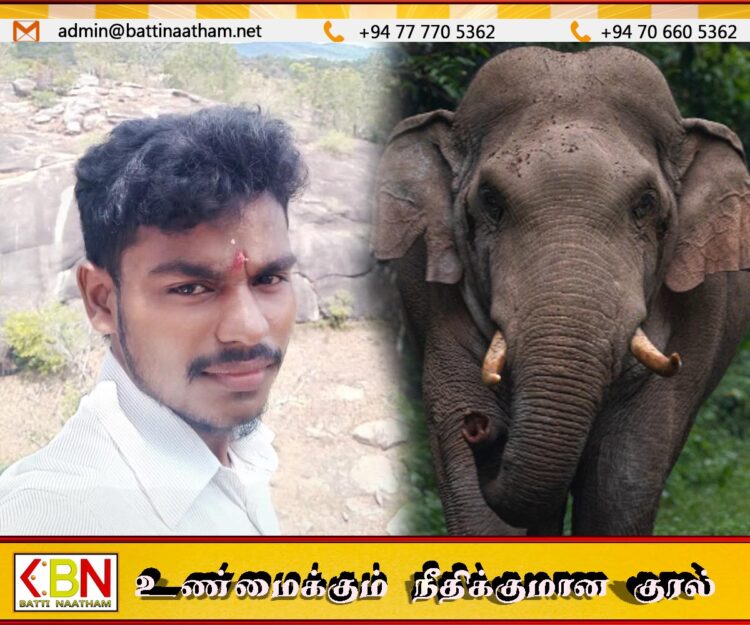 மட்டு வெல்லாவெளியில் யானை தாக்கி இளம் குடும்பஸ்தர் உயிரிழப்பு