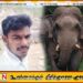 மட்டு வெல்லாவெளியில் யானை தாக்கி இளம் குடும்பஸ்தர் உயிரிழப்பு