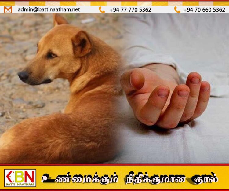 வீட்டில் வளர்க்கப்பட்ட நாய்க்குட்டியால் சிறுவன் உயிரிழப்பு!