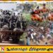 தமிழ் தேசியத்திற்காக 242 படுகொலை களங்களை சந்தித்த தமிழ் தேசம்; புரிந்துகொள்ளுமா தமிழ் கட்சிகள்