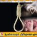 தனது ஆறு மாத குழந்தையை கொலை செய்து விட்டு இளம் தாய் தற்கொலை