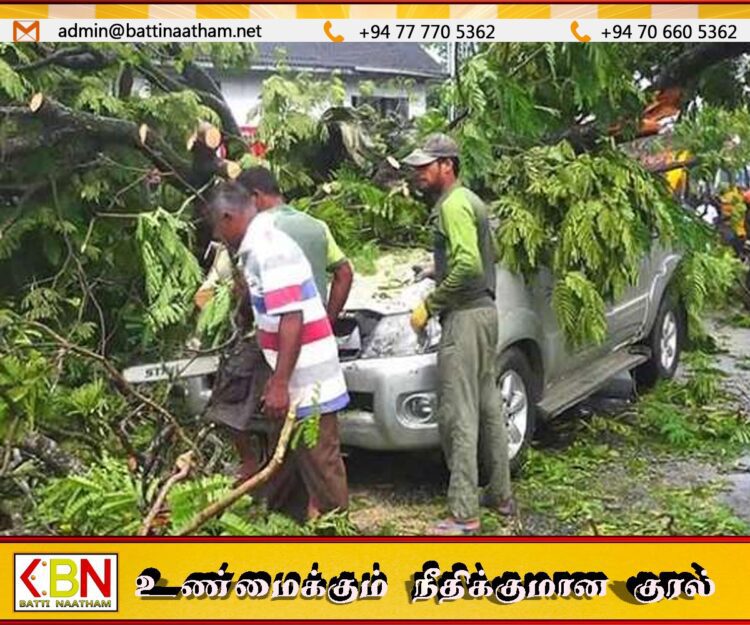பொரளை வீதியில் மரம் விழுந்ததில் ஏழு வாகனங்கள் சேதம்