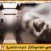 காலியில் லிஃப்ட் இடிந்து விழுந்ததில் இளைஞன் பலி