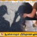 கண்டியில் விடுதி ஒன்றை முற்றுகையிட்ட பொலிஸார்; இரு பெண்கள் கைது