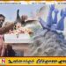 தமிழர்களின் வரலாற்று பயணம் முள்ளிவாய்க்காலில் நின்று விடுமா அல்லது அதனையும் தாண்டி பயணிக்குமா?