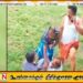 சொத்துக்காக தந்தையை கட்டிவைத்து தாக்கிய மகன்களும் மனைவியும்