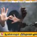 17 வயது பாடசாலை மாணவியை பாலியல் சீண்டல் செய்து தங்க நகைகளை திருடிய இளைஞன் கைது