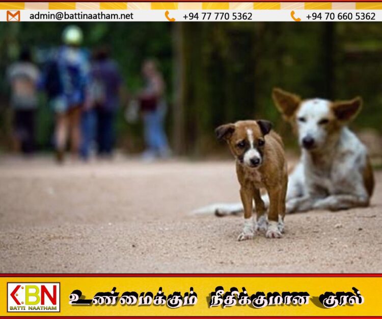 மோடியின் வருகைக்காக தெரு நாய்கள் அகற்றப்படுவதான செய்தி முழுப் பொய்; இலங்கை காவல்துறை
