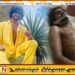 வெலிக்கடை பொலிஸாரின் காவலில் இளைஞன் உயிரிழந்தது தொடர்பில் இலங்கை சட்டத்தரணிகள் சங்கம் எச்சரிக்கை