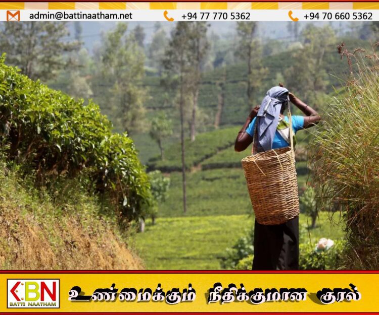 பெருந்தோட்டத் துறைக்கு இரண்டு புதிய சட்டங்களை அறிமுகப்படுத்த அமைச்சரவை அனுமதி
