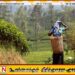 பெருந்தோட்டத் துறைக்கு இரண்டு புதிய சட்டங்களை அறிமுகப்படுத்த அமைச்சரவை அனுமதி