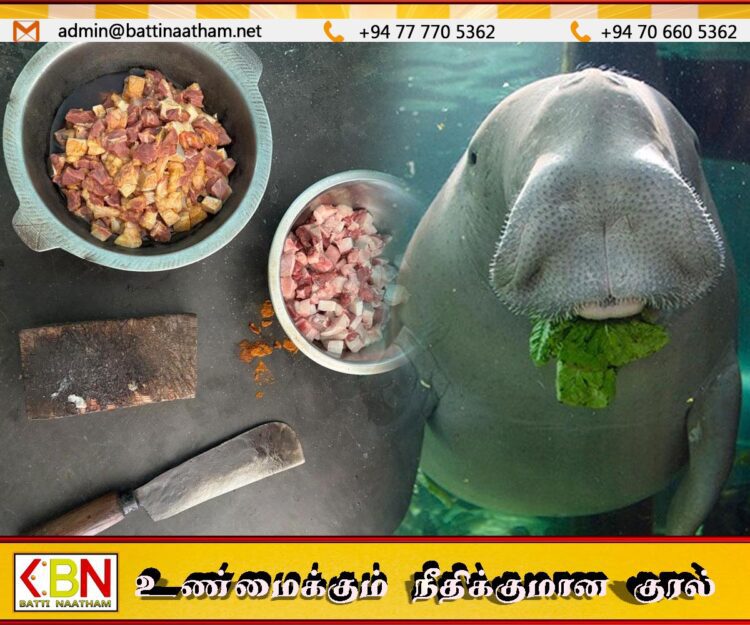 கடற்பசு இறைச்சியுடன் வனஜீவராசிகள் அதிகாரிகளால் ஒருவர் கைது