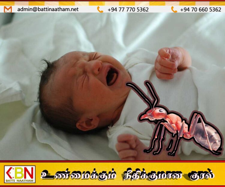 யாழில் எறும்பு கடித்து பச்சிளம் குழந்தை மரணம்
