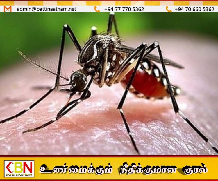 166 சுகாதார ஊழியர்களுக்கு டெங்கு காய்ச்சல்