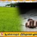 மட்டு எருவில் வயல் பகுதியொன்றிலிருந்து ஆண் ஒருவரின் சடலம் மீட்பு