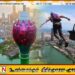 தாமரை கோபுரத்தில் இருந்து பராசூட்டில் குதித்த அமெரிக்க பிரஜை கைது