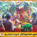 வாழைச்சேனை பேத்தாழை பாலாம்பிகா சமேத பாலீஸ்வரர் ஆலய தேர் திருவிழா
